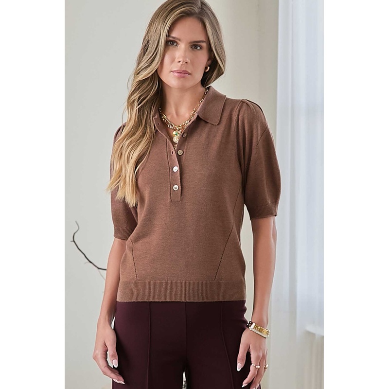 Short Sleeve Knit Polo Top in Brown