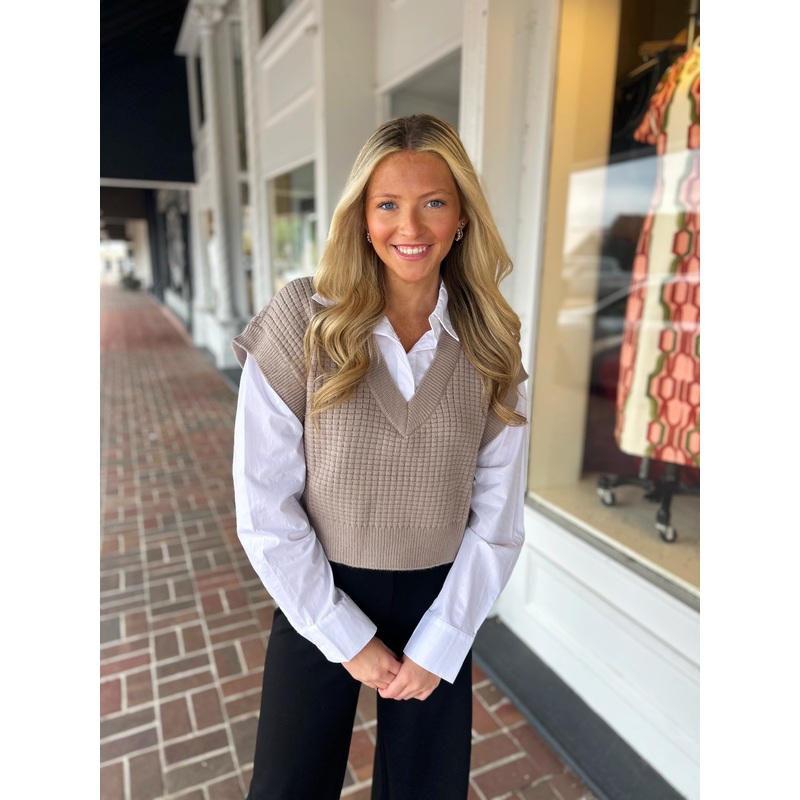 Something Amazing Taupe Crop Sweater