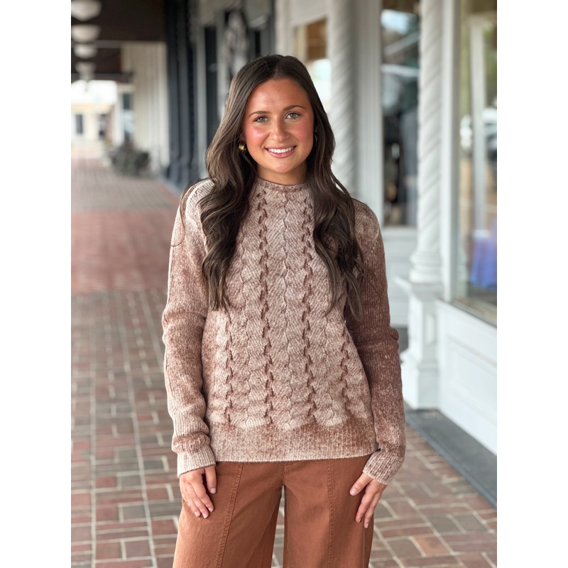Charlie B Long Sleeve Crew Sweater in Sepia