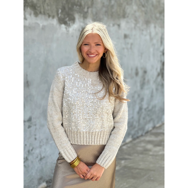 Glacier Gray Sequined Long Sleeve Sweater