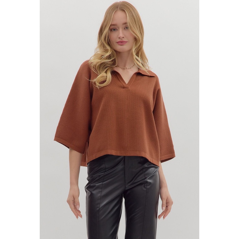 Favorite Collared Top in Brown