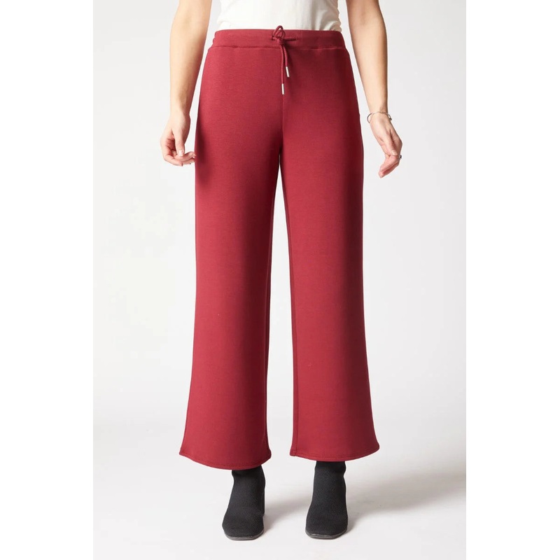 Habitat Travel Pant in Wine Red